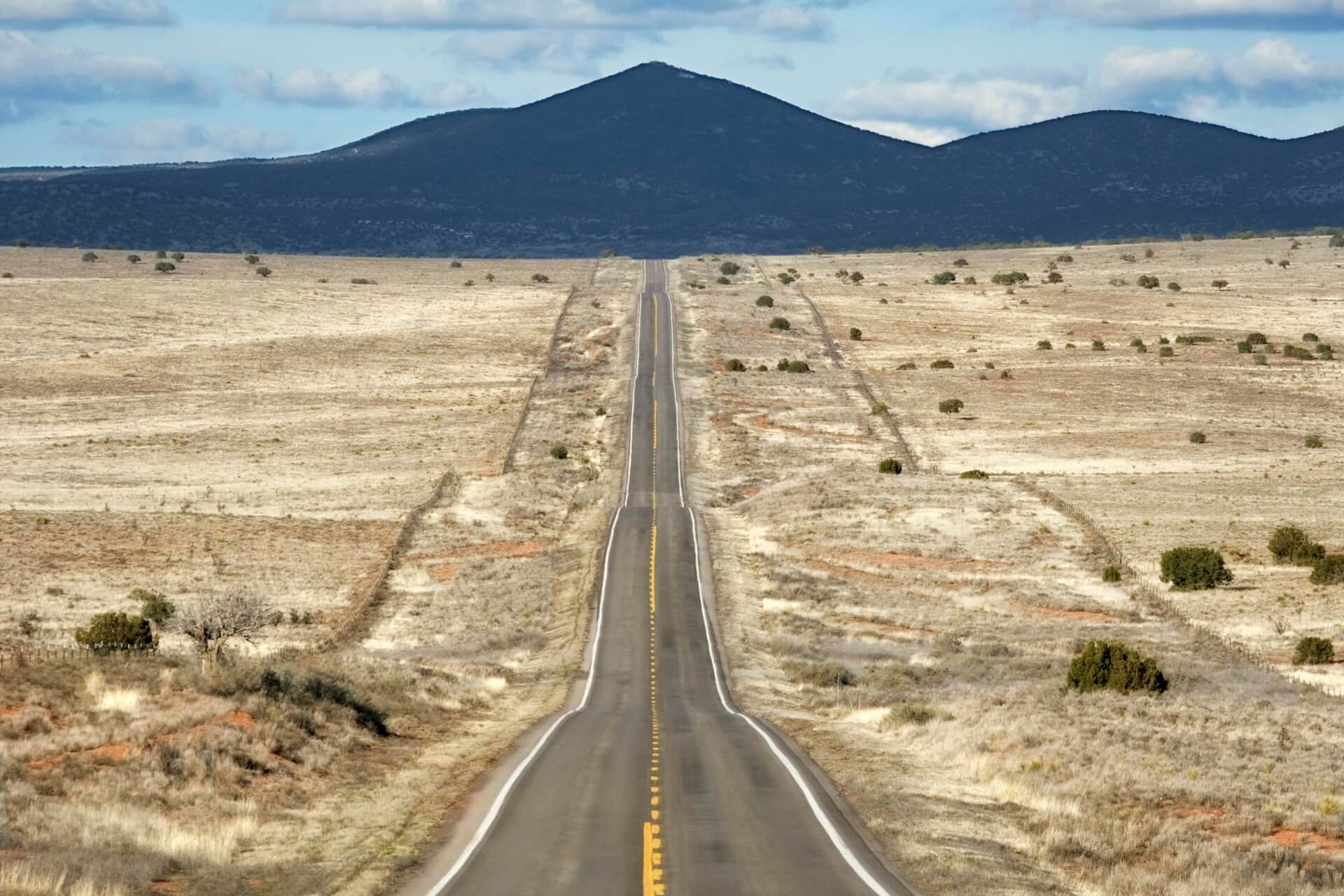 Magnolia, TX artificial turf projects