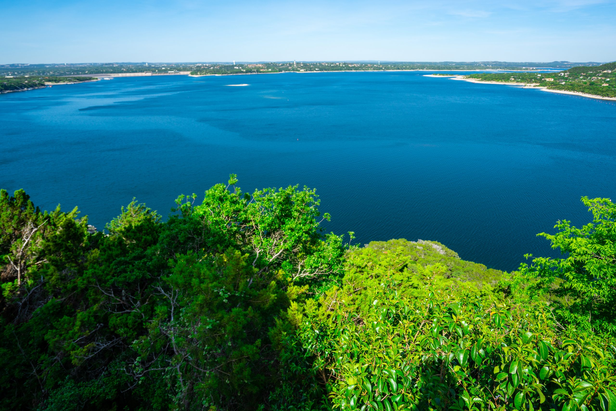 Turf services in Porter, TX