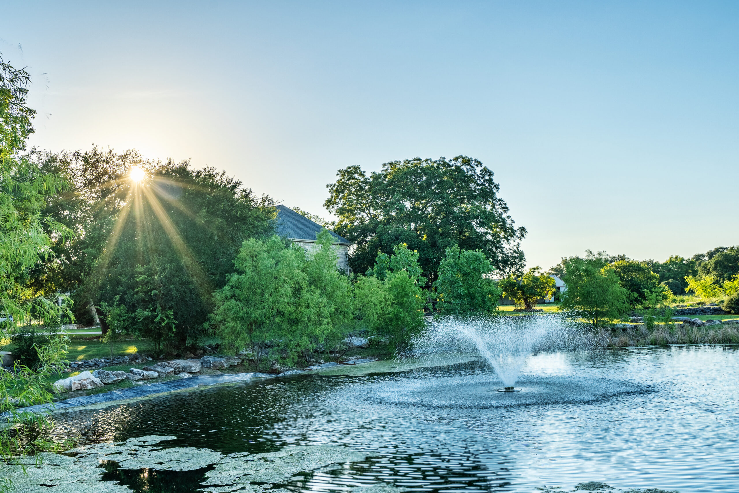 Shenandoah, TX artificial turf projects