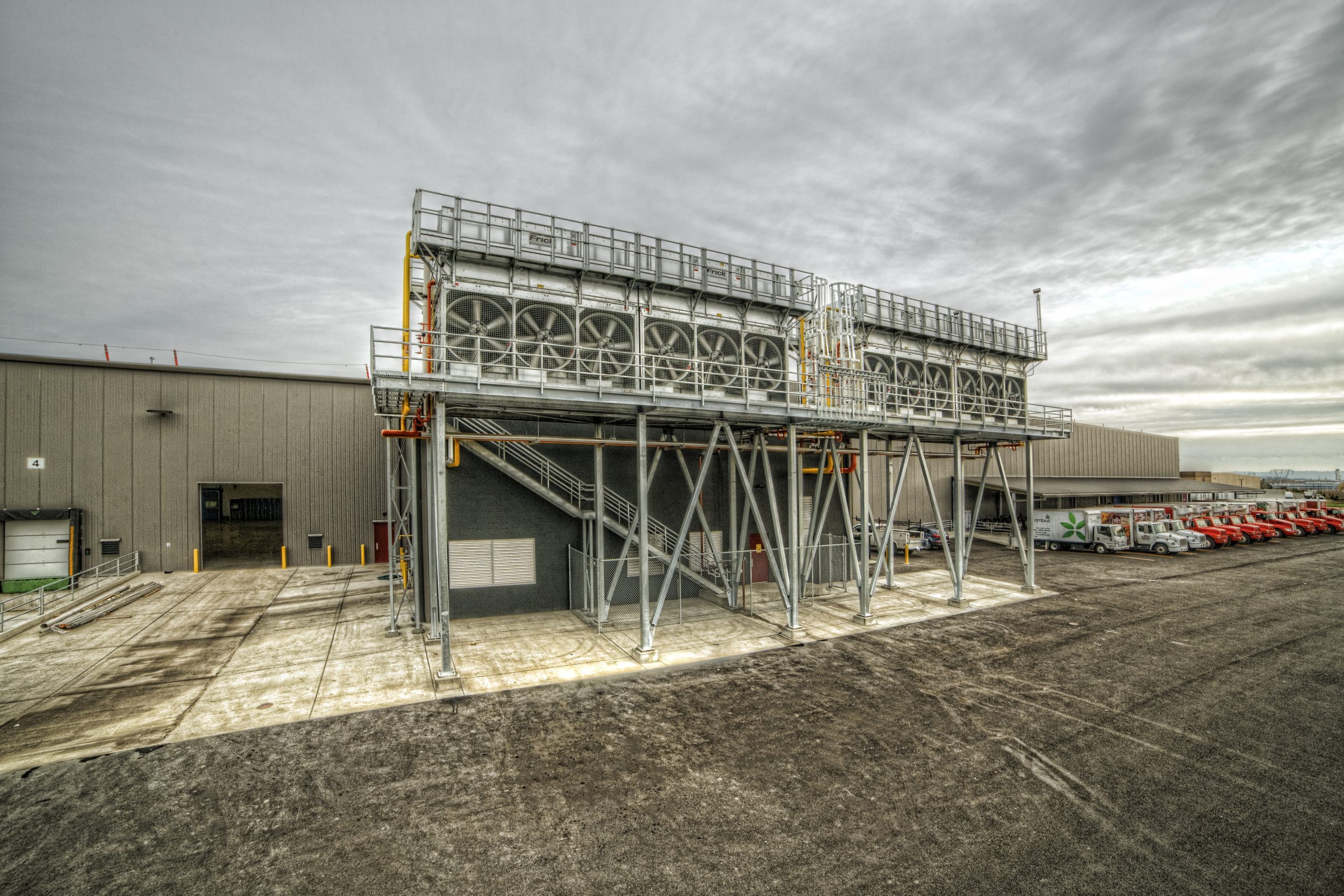 Pet Friendly Artificial Turf Installation in Humble, TX